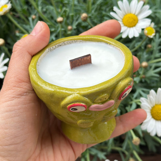 Cookie Scented Candle "Frog and Ladybug"